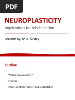 Principles of Neuroplasticity Explained | PDF | Neuroplasticity ...