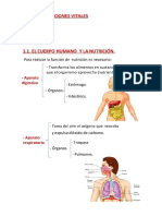 1. LAS  FUNCIONES VITALES