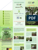 Bosques y Ecosistemas Análogos