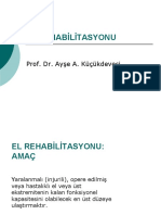El Rehabilitasyonu: Prof. Dr. Ayşe A. Küçükdeveci