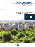 Produção de bovinos a pasto na fronteira agrícola brasileira