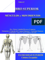 4.2 Miembro Superior Musculos y Movimientos