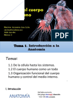 Tema1 Introducción A La Anatomía