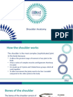 AHPS Shoulder Anatomy - Online Adaptation