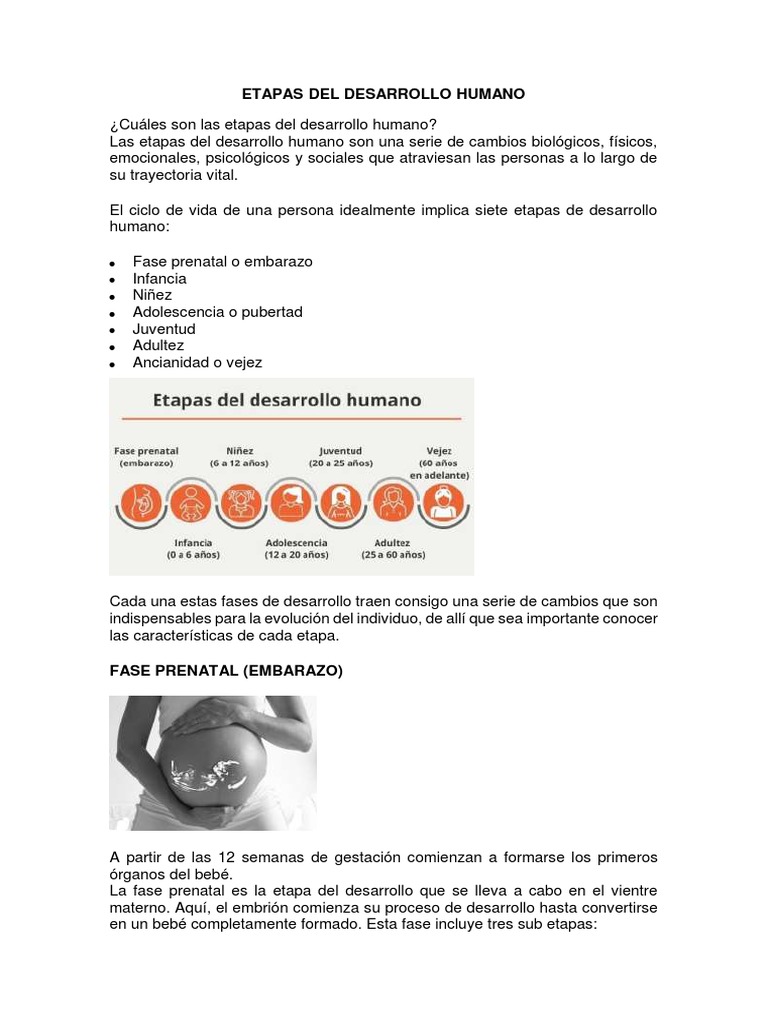Etapas Biologicas Del Organismo Humano | PDF | Adultos | Adolescencia