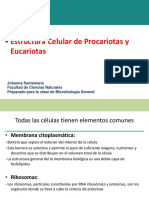 Estructura y función de membranas celulares