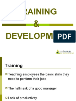 Training & Development