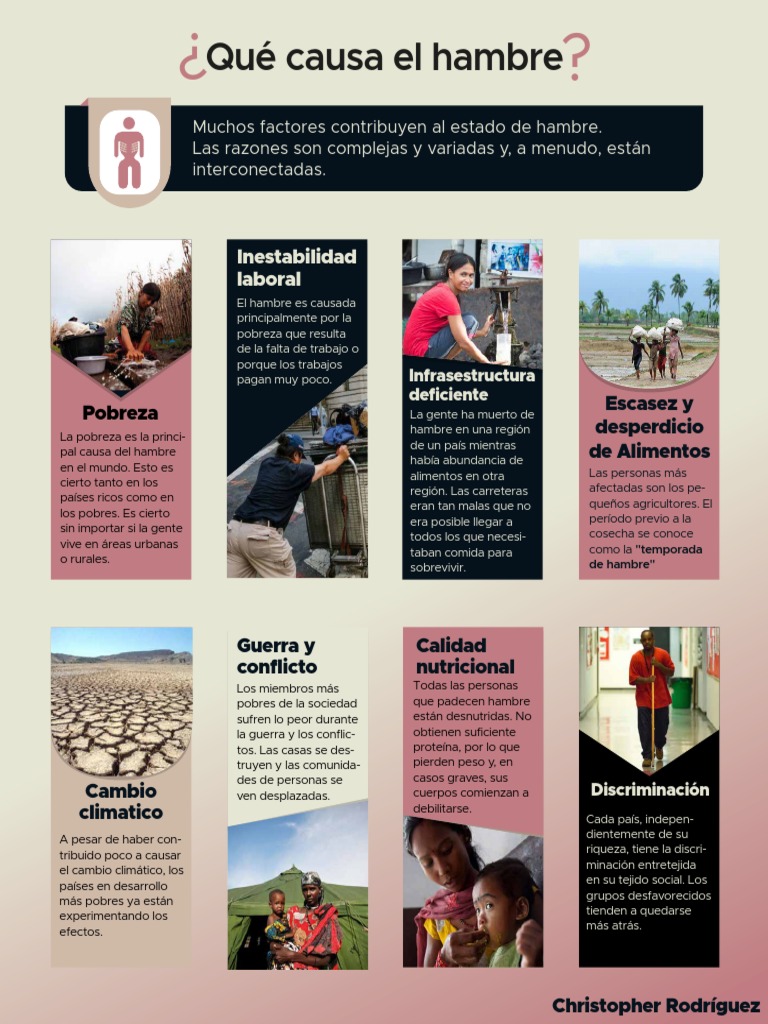 Causas del hambre en el mundo | PDF | Pobreza | Pobreza e indigencia