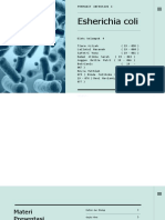 E.coli - KLP 4 - Penyakit Infeksius - Kls 3