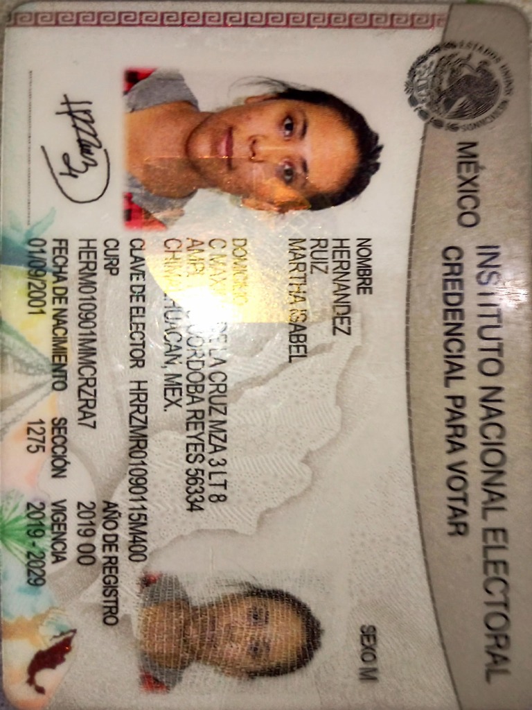 Identificación Oficial Del Representante Legal PDF