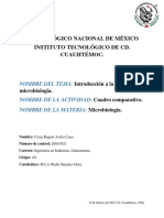 Clasificación microbiológica