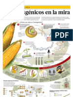 Los Transgénicos en La Mira