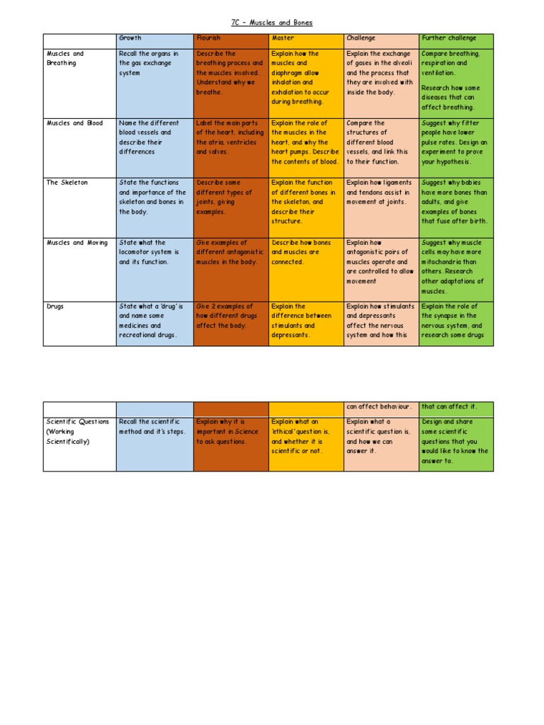 7C Muscles and Bones | PDF | Breathing | Heart
