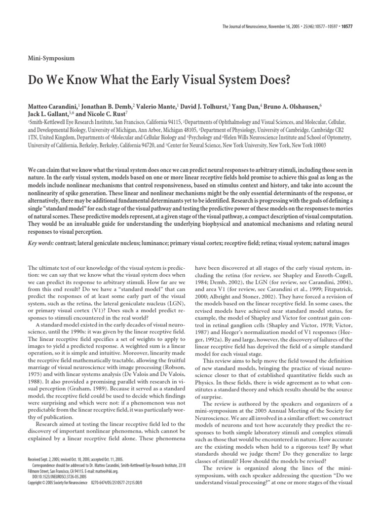 Do We Know What The Early Visual System Does?: Mini-Symposium | PDF ...