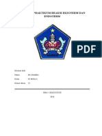 Laporan Praktikum Reaksi Eksoterm Dan en