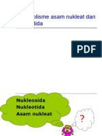 Metabolisme Asam Nukleat Dan Nukleotida