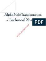 Alpha Male Transformation: - Technical Sheets