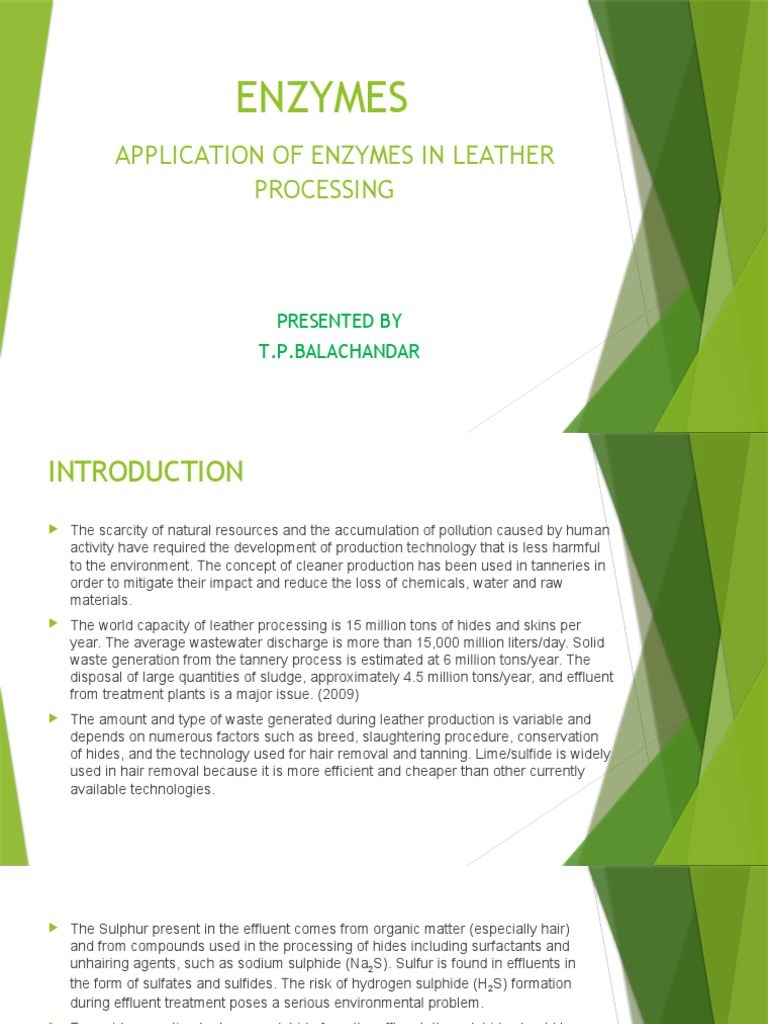 Enzymes Application of Enzymes in Leather Processing PDF Leather