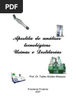 Apostila analise completa