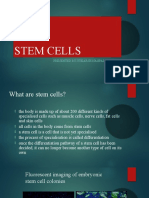 Stem Cells: Presented By-Utkarsh Nagpal 15Bbt0070