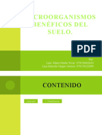 Microorganismos Beneficos Del Suelo