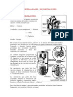 3.-EL_pulso-generalidades