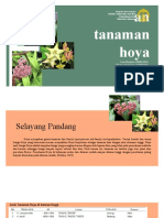 Pemanfaatan Biodiversitas (Tanaman Hoya)