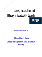 3 FMD Vaccines, Vaccination and Efficacy in Livestock in Ug