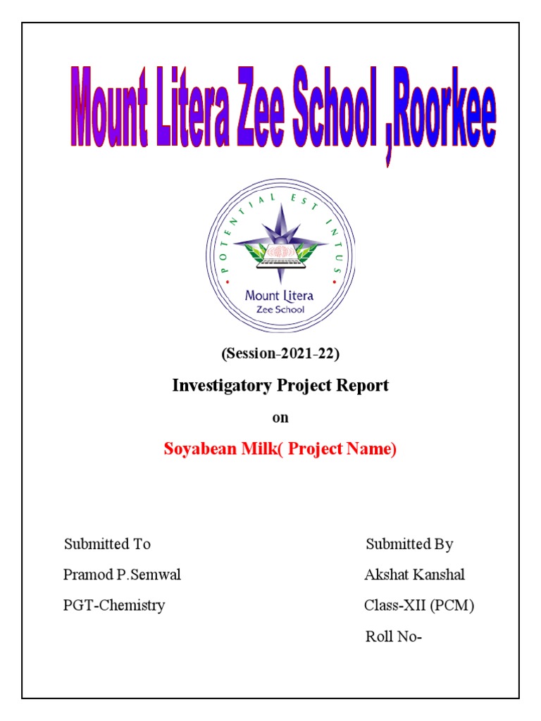First Page Project Report | PDF