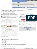 Organizador Grafico Funcion de La Biografia - Búsqueda de Google