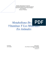 Metabolismo de Las Vitaminas y Los Minerales