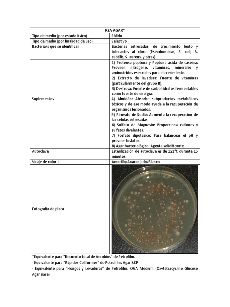Medio Selectivo R2A para Bacterias | PDF