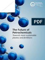 The Future of Petrochemicals