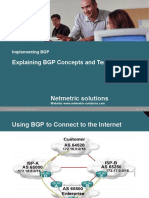 Explaining BGP Concepts and Terminology: Netmetric Solutions