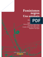 Feminismos Negros. Una Antología - Feminismos negros-TdS