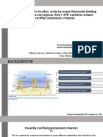 From in Silico To in Vitro: A Trip To Reveal Flavonoid Binding On The Rattus Norvegicus Kir6.1 ATP Sensitive Inward Rectifier Potassium Channel