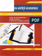 FISE Lucru Economia Intreprinderii AUXILIAR