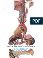 Cuaderno de Anatomia Para Colorear