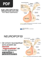 NO 77】 Herbert Brown Autumn Bloom 2011 ATTI 86° CONGRESSO