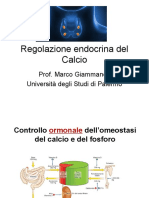 Regolazione Endocrina Del Calcio Prof. Marco Giammanco