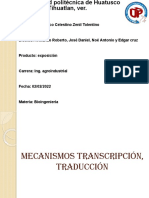 Mecanismos Transcripción, Traducción