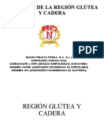 REGION GLUTEA Y CADERA