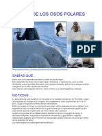 Muerte de Los Osos Polares (Cambio Climatico)