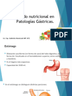 8.cuidado Nutricional en Patologías Gástricas