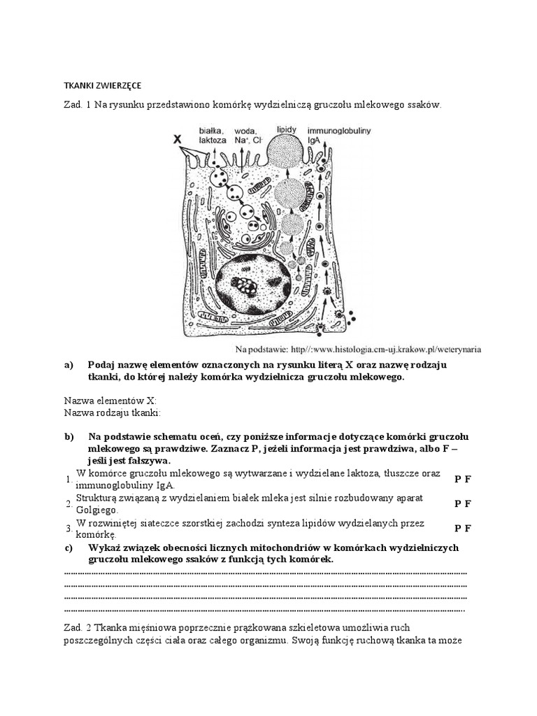 Nabłonek Rzęskowy Wyściełający Jajowód Umożliwia