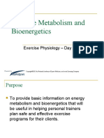 Exercise Metabolism and Bioenergetics