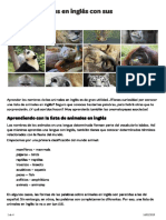 Lista de Animales en Inglés Con Sus Onomatopeyas