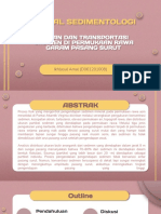 Jurnal Internasional Sedimentologi