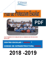 FORMATO PLAN DE PROTECCION 2018
