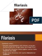 14bf - Slide Filariasis
